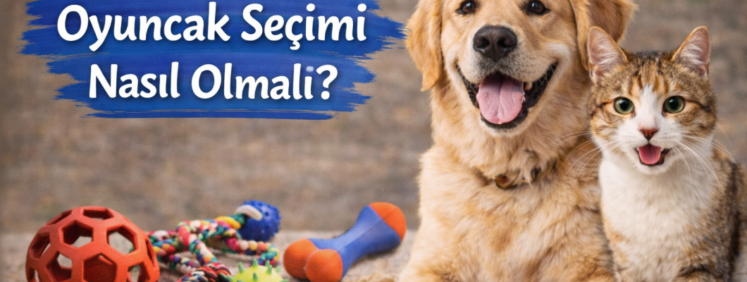 Evcil Hayvanlar İçin Oyuncak Seçimi Nasıl Olmalı?